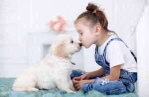 The Ultimate Guide for Raising Kids with Dogs