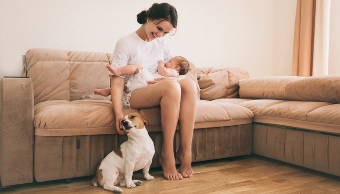 The Ultimate Guide for Raising Kids with Dogs