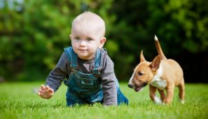 The Ultimate Guide for Raising Kids with Dogs