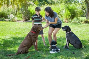 The Ultimate Guide for Raising Kids with Dogs