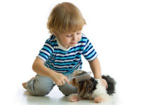 The Ultimate Guide for Raising Kids with Dogs