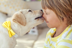 The Ultimate Guide for Raising Kids with Dogs