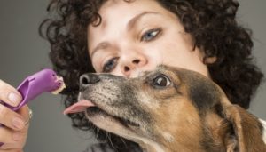 The Ultimate Guide to Dog Dental Care