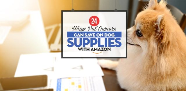 Top 24 Ways Pet Owners Can Save on Dog Supplies with Amazon