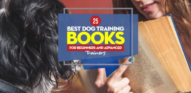 Top 25 Best Dog Training Books for Beginners and Advanced Trainers