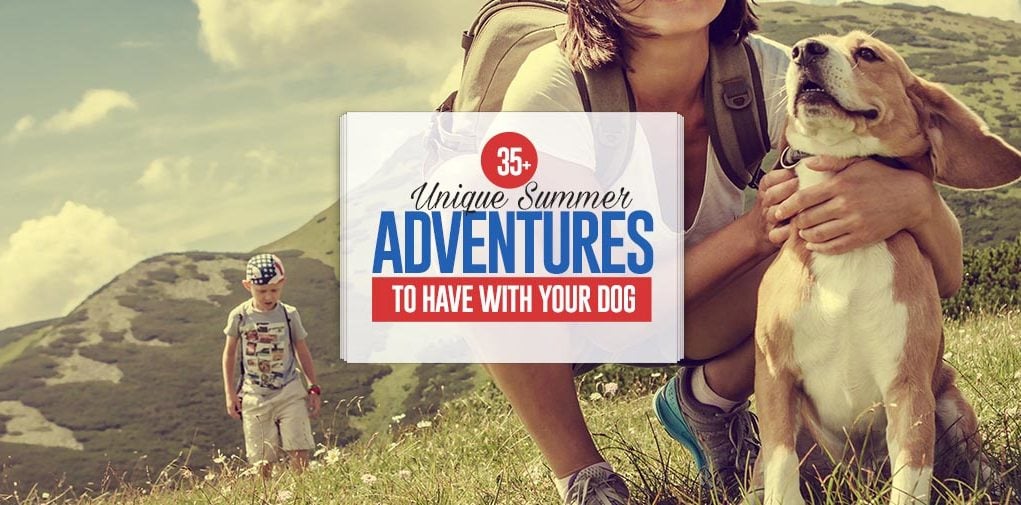 Top 35 Unique Summer Adventures to Have with Your Dog