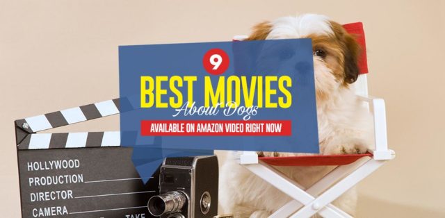 Top 9 Best Movies About Dogs Available on Amazon Video Right Now