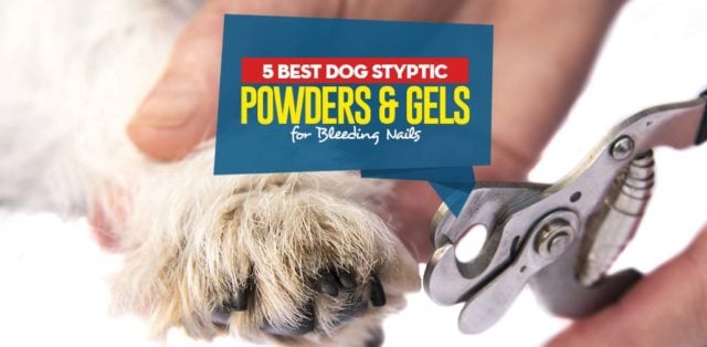 Top Best Dog Styptic Powders featured image