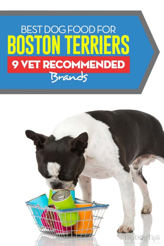 Top Rated Best Dog Food for Boston Terriers