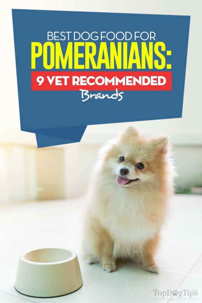 Top Rated Best Dog Food for Pomeranians