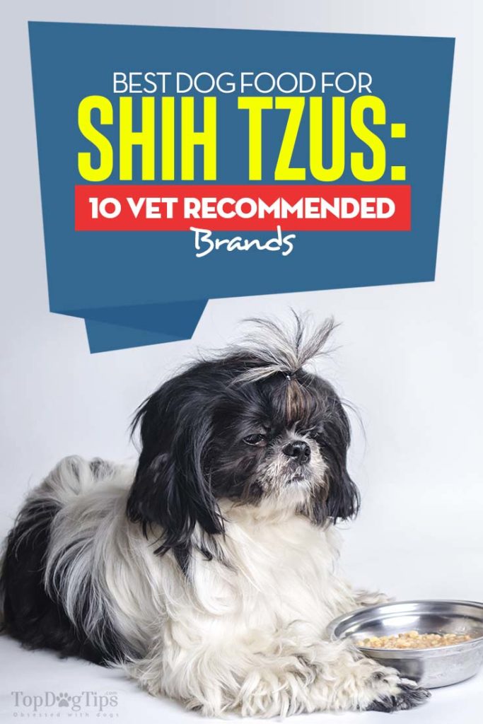 Top Rated Best Dog Food for Shih Tzus