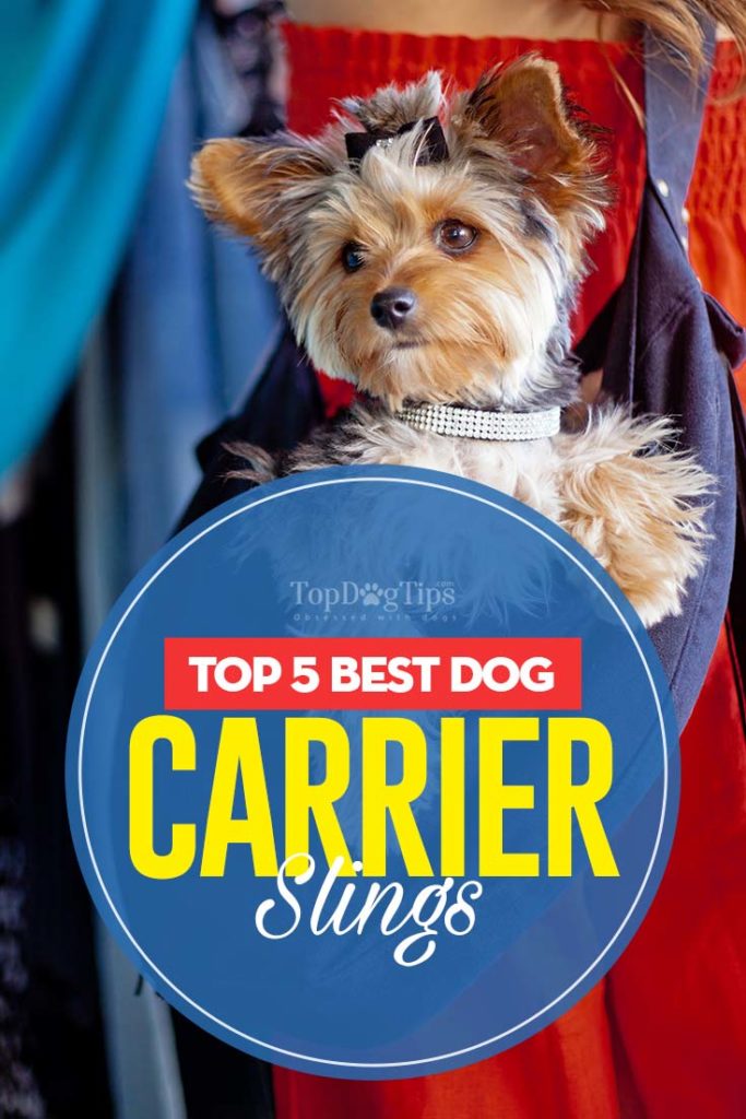 Top Rated Dog Carrier Slings 2020