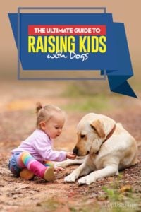 Your Ultimate Guide for Raising Kids with Dogs