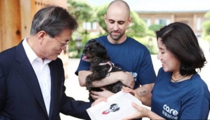 President of South Korea Rescues Meat Farm Dog