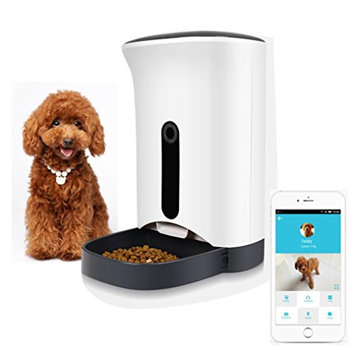 Petwant Automatic Pet Feeder