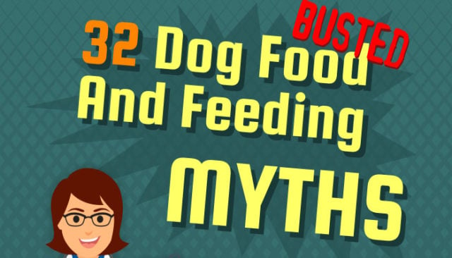 Dog Food Myths Debunked