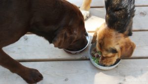 The recommended serving size for this nutritionally complete homemade dog food is about 1/2 cup for every 20 pounds of body weight.