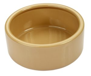 How To Choose the Right Dog Bowl