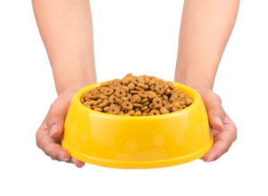 How To Choose the Right Dog Bowl