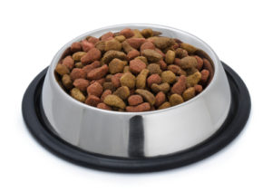 Stainless steel dog bowls