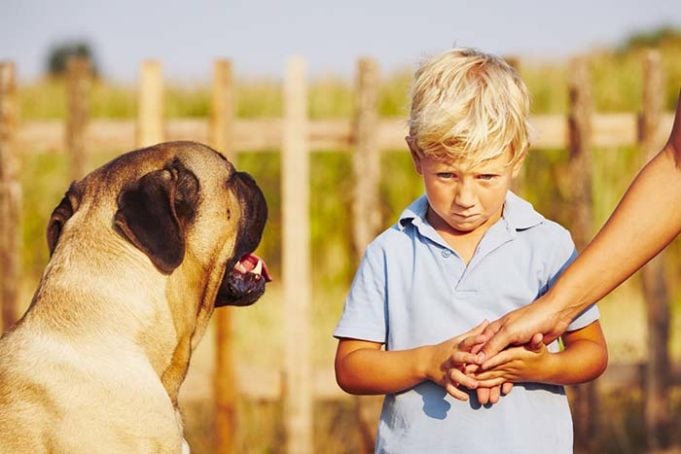 Kids Don’t Know Not to Approach Frightened Dogs and It's a Problem