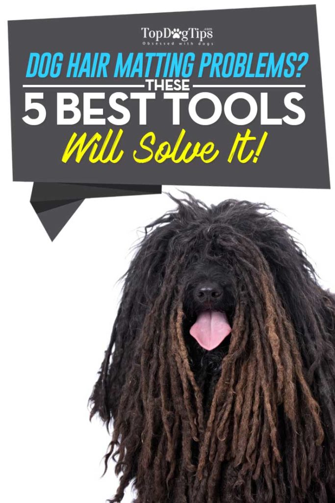 My 5 Favorite Dog Dematting Tools