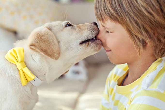 Parents Underestimate Risk of Family Dog to Children