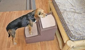 Pet Gear Easy Step II Dog Stairs Review