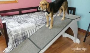 Review of PetSafe CozyUp Bed Ramp for Dogs