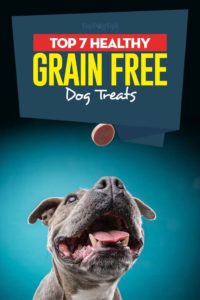 The Best Grain Free Dog Treats