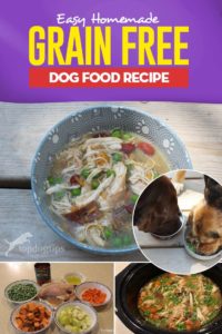 The Best Homemade Grain Free Dog Food Recipe