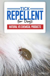 The Tick Repellent for Dogs