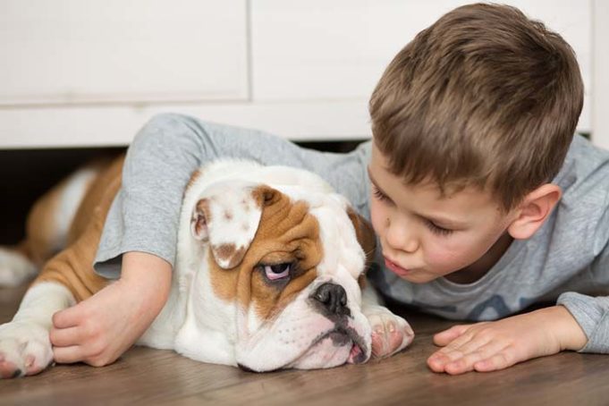 There's Now Hope for Dogs and Kids with Lafora Disease