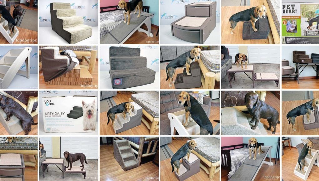 Top 15 Best Dog Stairs for Beds and Cars in 2020