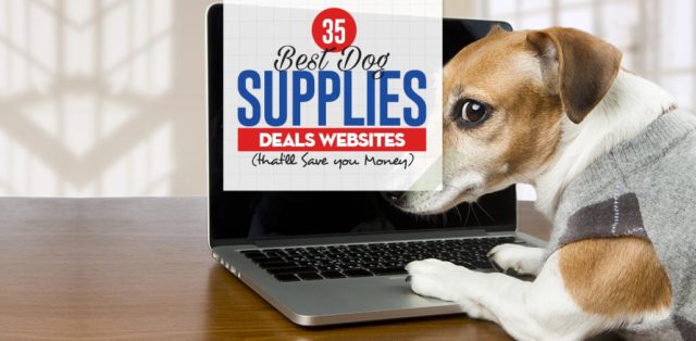 Top 35 Best Dog Supplies Deals Websites