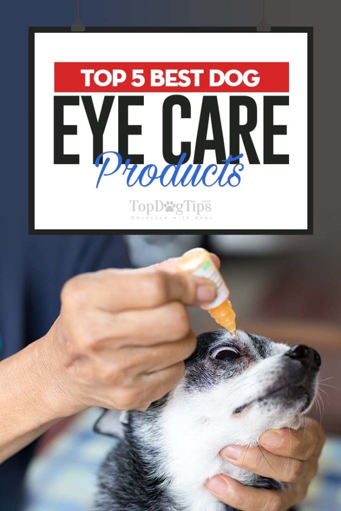 Top Rated Best Dog Eye Care Products