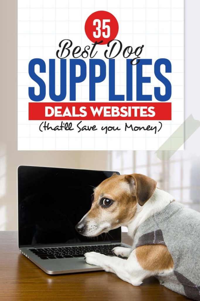 Top Rated Best Dog Supplies Deals Websites