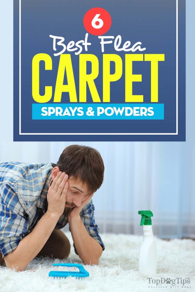 Top Rated Best Flea Carpet Sprays & Powders