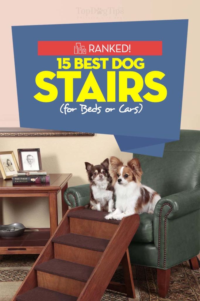 Top Rated Dog Stairs for Beds and Cars 2021