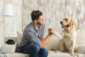 Why Science Says Dogs Make Us Happier and Healthier