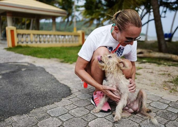 Woman Saves Hundreds of Dogs Left to Die on 'Dead Dog Beach'