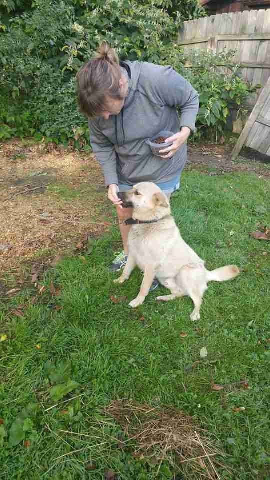 WATCH: Dog Chained For First 3 Years of Life Runs for the First Time