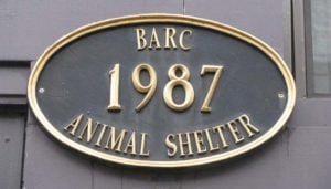 BARC Shelter