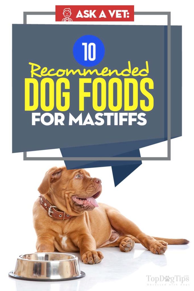 Best Dog Food for Mastiffs - Vet Recommended Brands