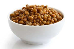 Can dogs have lentils