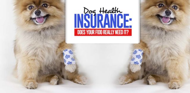 Dog Health Insurance