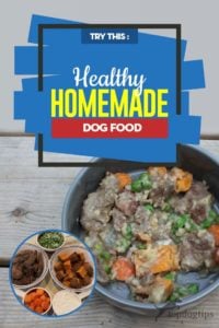 Healthy Homemade Dog Food Recipe for Any Time