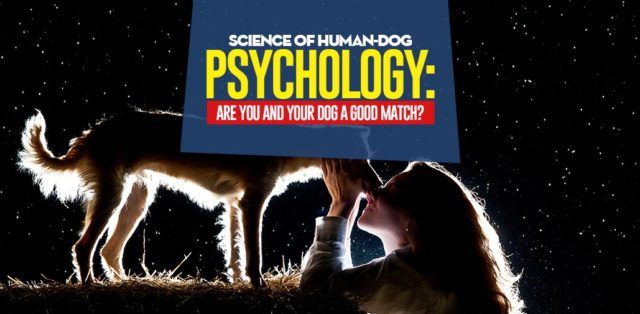 Human-Dog Psychology Science