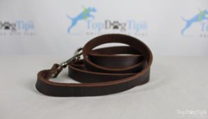 Leatherberg Leash Giveaway