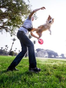 Most Effective Dog Training Methods